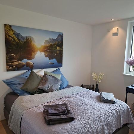 Stadtnahes Gaestezimmer Im Penthouse Bei Esi テュービンゲン エクステリア 写真